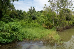 B034034-Pano