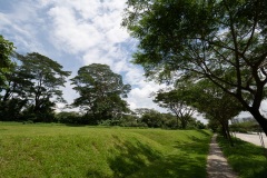 B074060