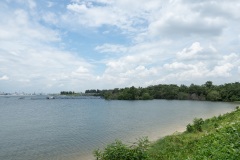 D074224