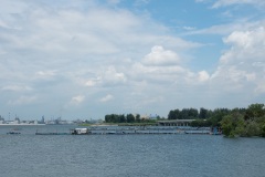 D074226