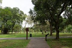 D085024