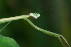 D095049