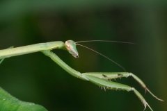 D095050