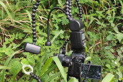 IMG_20201209_115246
