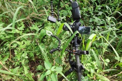 IMG_20201209_115302