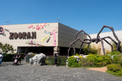 Dong-gu, Shinsegae Department Store Daegu, 신세계백화점 대구점