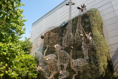 Dong-gu, Shinsegae Department Store Daegu, 신세계백화점 대구점