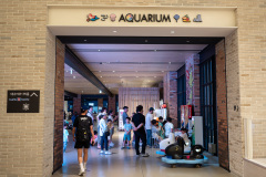 Dong-gu, Shinsegae Department Store Daegu, 신세계백화점 대구점