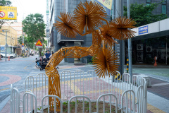 Jung-gu