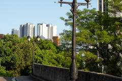Daegu Heritage Trail, Daegu March 1st Independence Movement Road, Jung-gu, 대구 3.1만세운동길