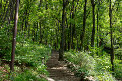 Apsan, Nam-gu, 앞산