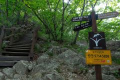 Apsan, Nam-gu, 앞산