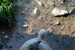 Suseongmot, 수성못