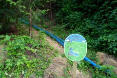 Hotel Susung