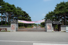 Hanbat Arboretum, Seo-gu, 한밭수목원 수생식물원