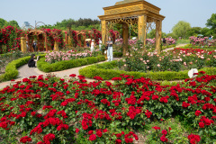 Hanbat Arboretum, Seo-gu, 한밭수목원 수생식물원