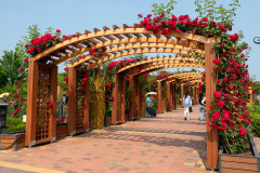 Hanbat Arboretum, Seo-gu, 한밭수목원 수생식물원