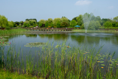 Hanbat Arboretum, Seo-gu, 한밭수목원 수생식물원