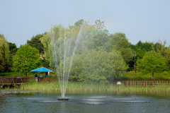Hanbat Arboretum, Seo-gu, 한밭수목원 수생식물원