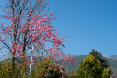 Cangshan, Dali, 大理, 苍山