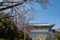 Cangshan, Dali, 大理, 大理农林职业技术学院, 苍山