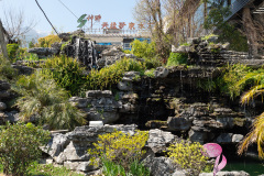 Dali, 大理, 大理矿泉