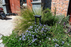 Dali, Monster B&B, 大理, 大理古城怪兽民宿