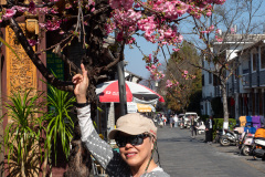 Dali, Dali Ancient City, 大理, 大理古城, 洋人街