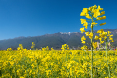 Cangshan, Dali, 大理, 苍山