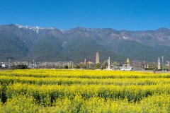 Cangshan, Dali, Three Pagodas, 大理, 大鹏金翅鸟广场, 崇圣寺三塔, 苍山