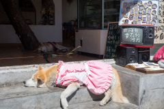 Dali, 大理, 月华路