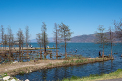 Dali, Erhai Ecological Corridor, Erhai Lake, 大理, 洱海, 洱海生态廊道