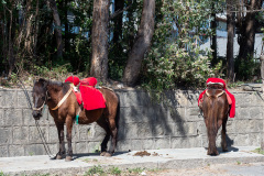 Dali, 大理, 苍山国家地质公园
