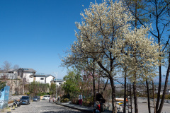 Dali, 大理, 苍山国家地质公园