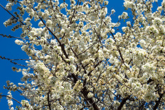 Dali, 大理, 苍山国家地质公园