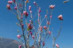 Cangshan, Dali, 大理, 苍山