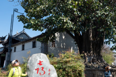 Dali, Xizhouzhen, 喜洲古镇, 大理