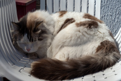 Dali, Monster B&B, 大理, 大理古城怪兽民宿