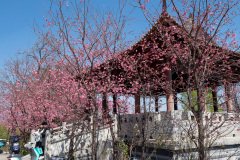 Dali, Xanyue Street, 三月街, 大理