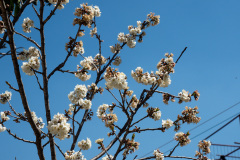 Dali, Monster B&B, 大理, 大理古城怪兽民宿