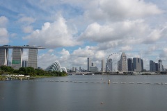 B017995