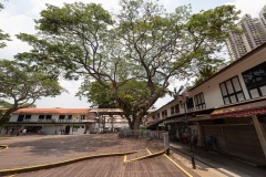 B015187