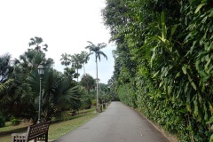 P3010011