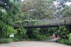 P3010017