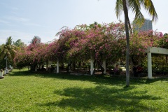 B125726