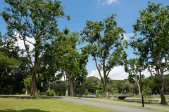 B130126