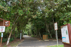 D152866