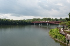 B176781