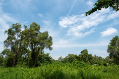 B020331