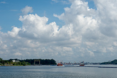 D023293